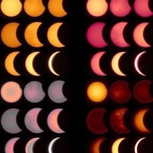 Meet your Posher, Kristine